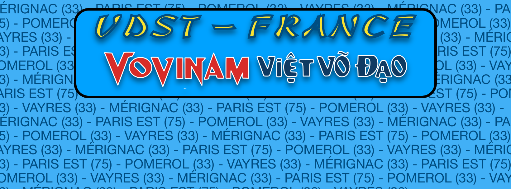 Le VDST France lance sa page Facebook officielle pour un partage passionné du Vovinam – Việt Võ Đạo